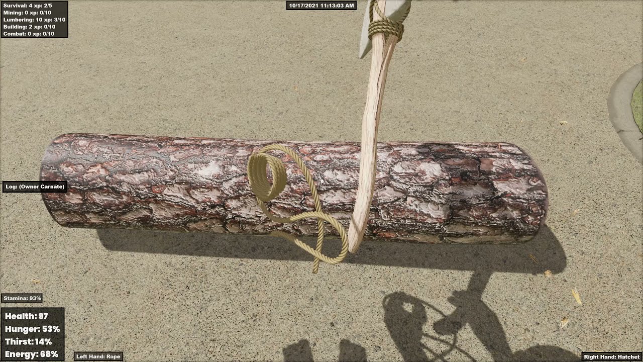 s&box Survival Game Core Mechanics Concept