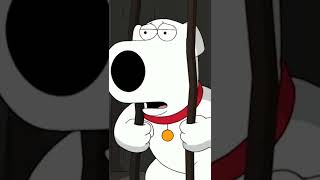 Famous FAMILY GUY - Old Brian Wealth