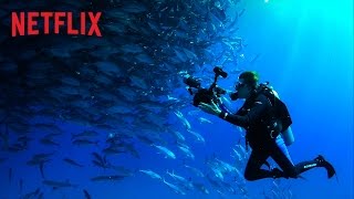 Mission Blue -  Trailer - Netflix [HD]