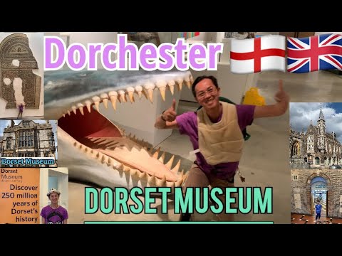 Day out in DORCHESTER #england #unitedkingdom #holiday #dorchester #fyp #explore #travel #museum #uk