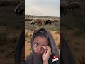 ياعبيد لو تدري عن الحال يـ ـ شعراء قصيد خواطر اكسبلور 
