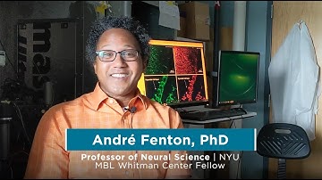 "Why the MBL?" with André Fenton