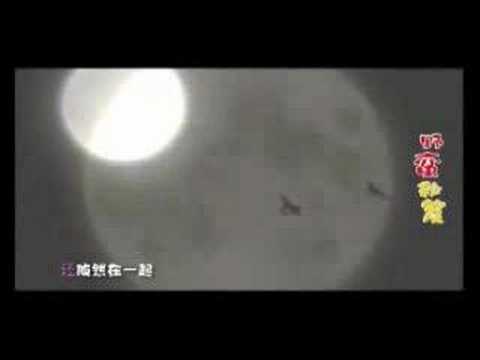 直到愛上你mv