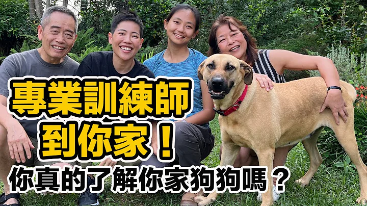 原来我们误会Model了!差一点演变成攻击事件!如何跟狗狗沟通?如何看懂狗狗心情?最实用的动物行为知识! - 天天要闻