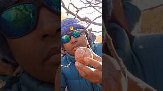 Eating Fresh Marpha Apple 🇳🇵🍎 #ytshorts #marpha #freshapple