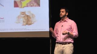 Three Minute Thesis (3MT) - Jonathan Vaisberg 2015