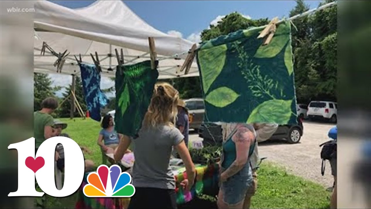 Weed Wrangle and DIY Cyanotype prints at Ijams Nature Center