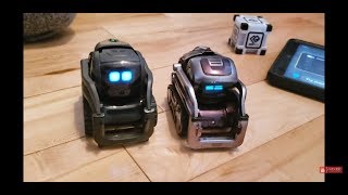 Cosmo and Vector Robot