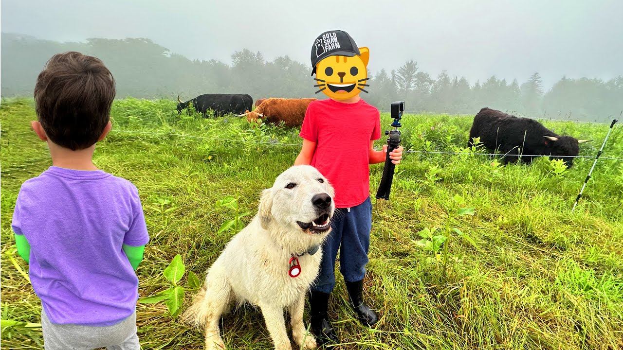 Kids on My Farm - YouTube