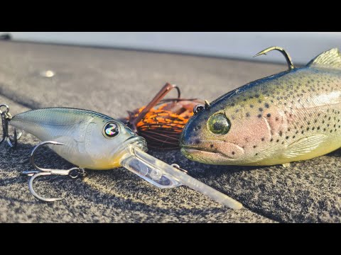 Comment attraper votre PB Basse Right Now!