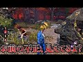 【DBD】チーターを速攻で見抜いてキラーと一緒に退治したったww