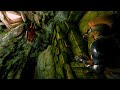 МОЙ САМЫЙ НЕВЕЗУЧИЙ ВАЙП  В АРК SURVIVAL EVOLVED НА КАРТЕ FJORDUR