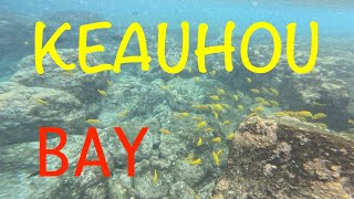 Snorkeling Keauhou Bay   4K