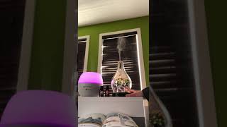 Scentsy Deluxe diffusers vs Premium Diffuser