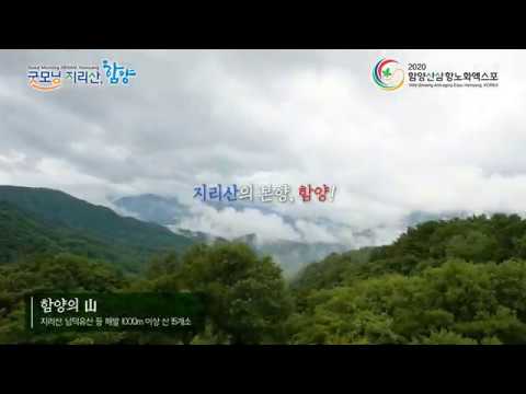 2020 함양산삼항노화엑스포[스팟 광고]