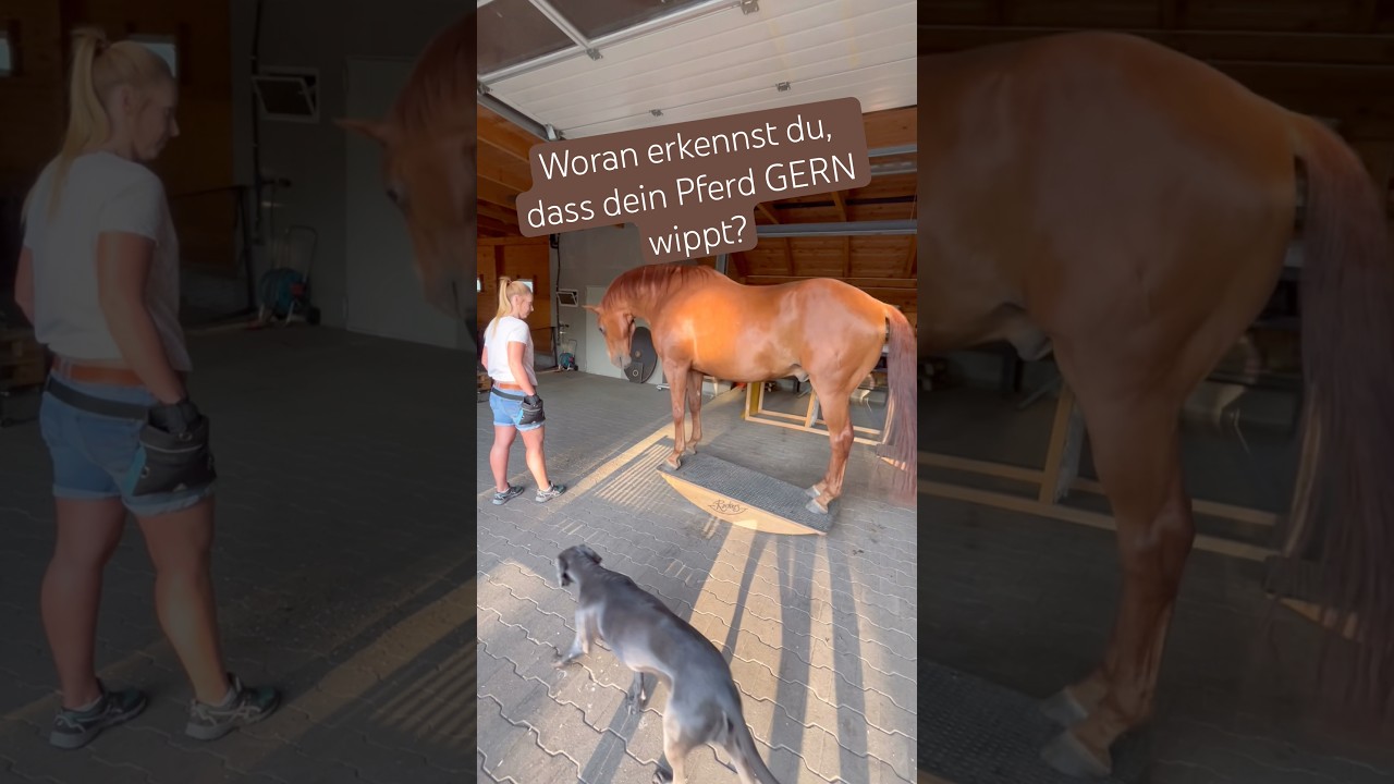 Macht er das wirklich gern? 