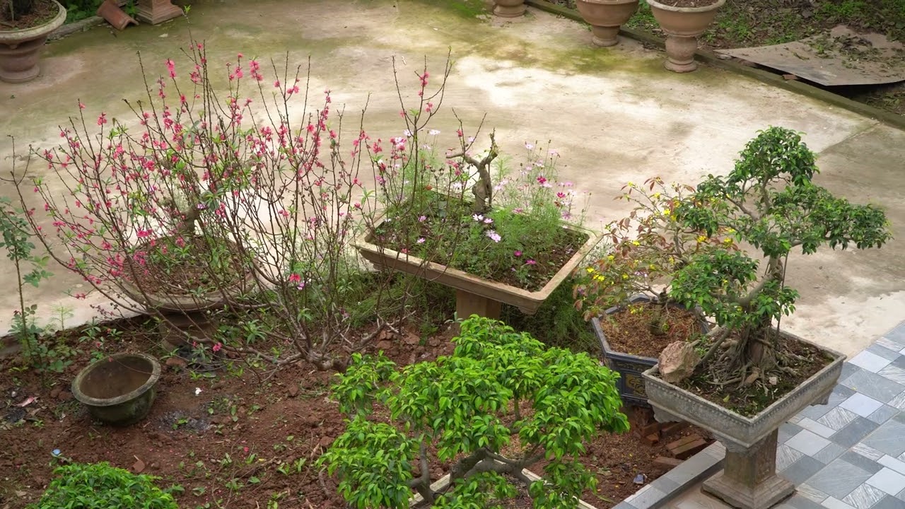 Realistic sounds in a Vietnamese village during a funeral | 4K HDR