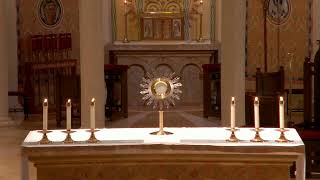 August 13 2026 - 8 15 AM Mass Memorial of St Pontian Pope and Hippolytus Priest Martyrs