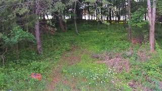 3337 Chaney Pike road Taylor county Kentucky. 