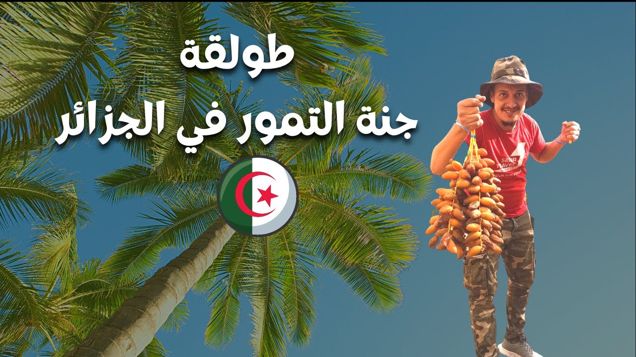 طولقة جنة التمور