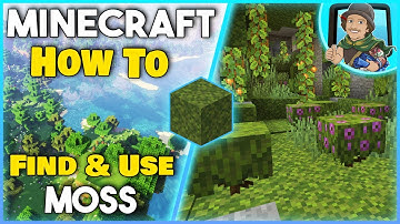 How to FIND and USE a MOSS Block - Minecraft 1.17+ (Easy Tutorial)