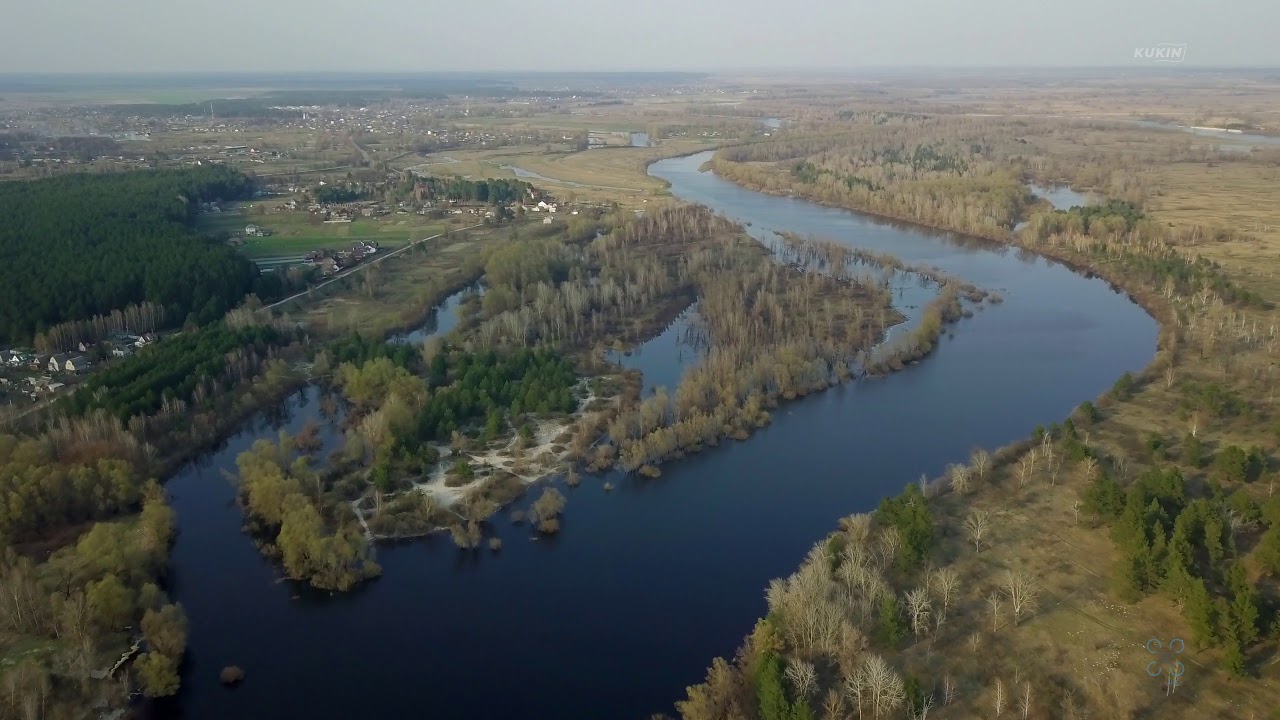 Приток групп. Река Десна Украина. Десна река Брянск с высоты птичьего полета. Десна (приток Днепра). Река Десна с высоты птичьего полета.