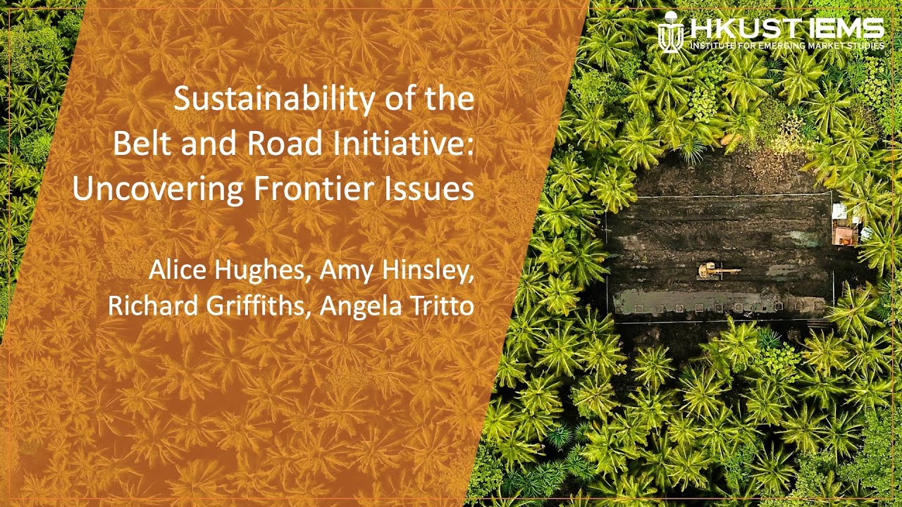 Frontier issues in sustainability of Belt&Road Initiative by Hughes, Hinsley, Griffiths & Tritto