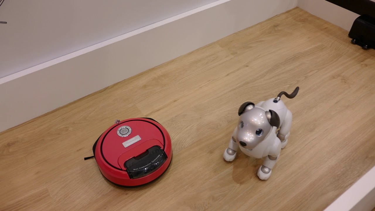 Minimaru and Aibo demonstration at CEATEC 2018 [RAW VIDEO] japanese food