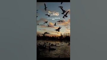 سورة فاطر آية ٨ - إبراهيم محمد