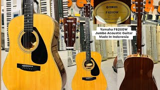 Yamaha F620DW Acoustic Guitar Made in Indonesia ( Wilsons Music 