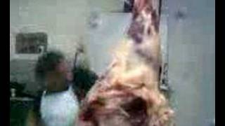 None (Video000.mpeg)
