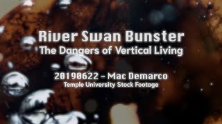 Dangers of Vertical Living: 20190622 - Mac Demarco