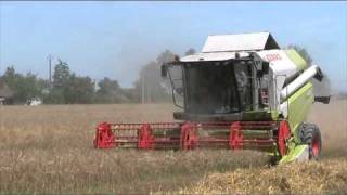 moisson du blé claas tucano et lexion