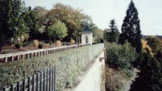 Fotos Of Leonberg 2001