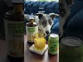 GoodTime Sweet REVIEW: THC Alcohol Free Drinks Enhancer - Is the Sweet Flavor Worth It?