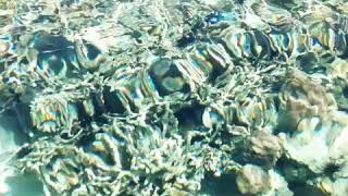 Kun-Kun Island Kunak Sabah