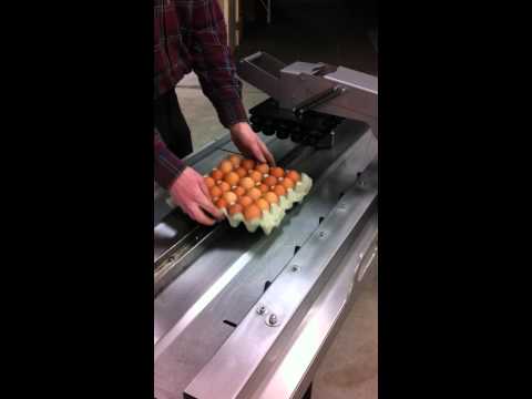 Egg coding EggFlex HeDiPack handsystem for hatching trays and 17 LBS