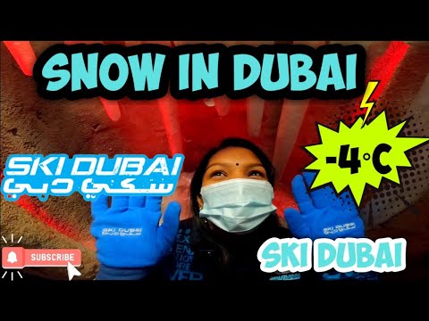 Ski Dubai Tour I Indoor Ski resort I Snow park rides in Mall of Emirates | 2022 | Mallu Diver
