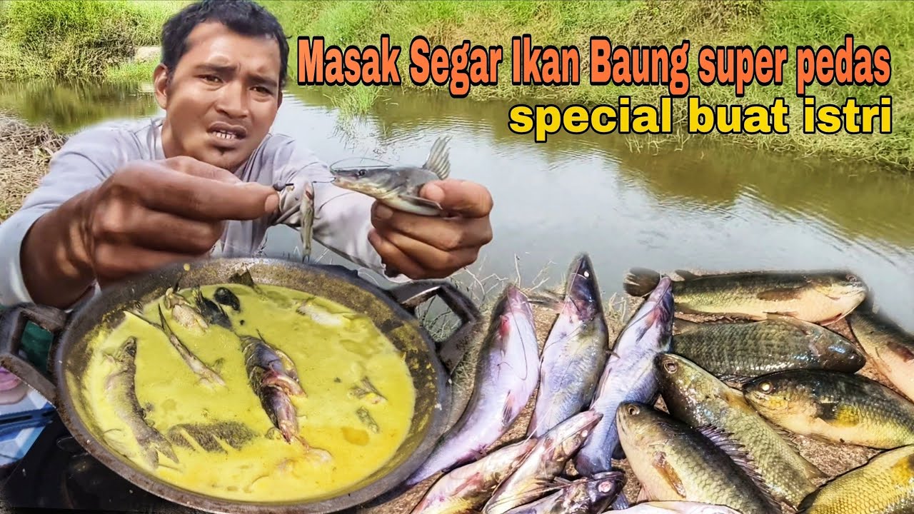 Amazing!!! Tidak disangka ikan Baung ada di parit ini, masak kuah pedas ikan segar