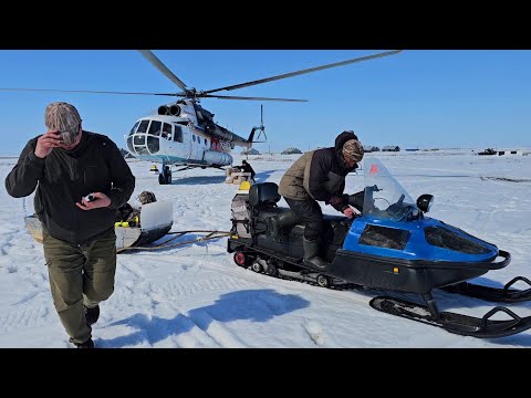 Видео: За гусем за полярный круг! Жизнь и охота в тундре. Часть 1