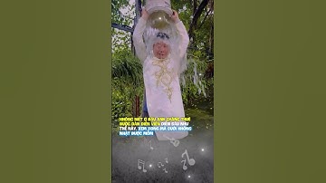 Thuê được dàn chú rể diễn đúng đỉnh luôn... #fyp #xuhuong #thinhhanh #shorts #damcuoi #nhacche