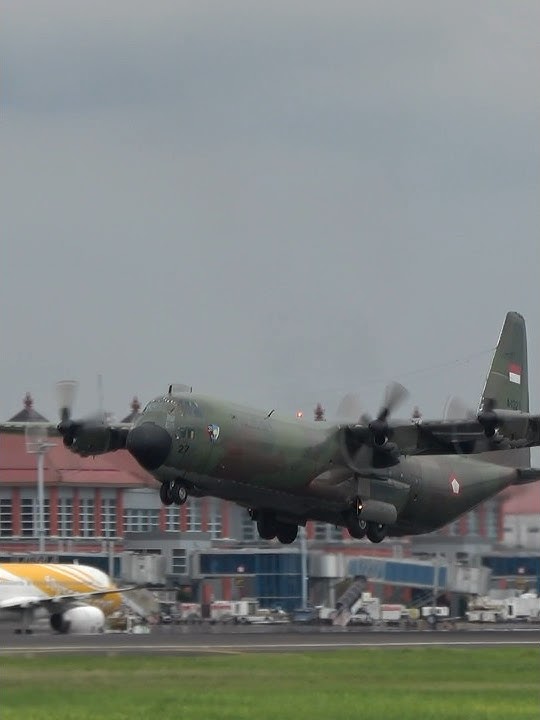 Pesawat Hercules TNI AU Take Off di Bandara Ngurah Rai Bali