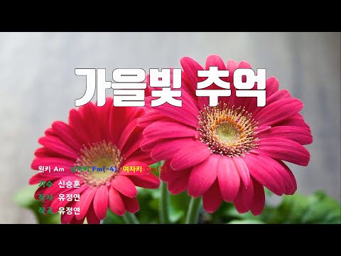 [은성 반주기] 가을빛추억 - 신승훈