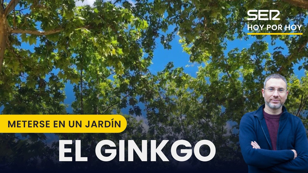 🧬 El ÁRBOL ETERNO: el SECRETO del GINKGO BILOBA para VIVIR millones de AÑOS | Meterse en un jardín