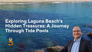 Exploring Laguna Beach's Hidden Treasures: A Journey Through Tide Pools