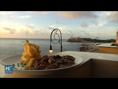 Mushrooming exotic food enriches culture and tells reform benefits of Cuba