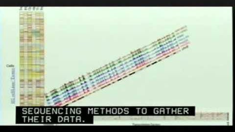 ENCODE - Elise Feingold