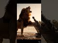 Lion vs Crocodile – The Deadliest River Fight Ever Caught!  #wildlife #biteforce #animalattack