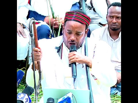 Marii Murtiiwwan Yaa I Gadaa Arsii Dhaddacha Guutaa Dabarse Irratti 