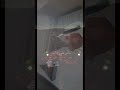 بنيت حبي لك ساس على ساس بنيت حبي لك ساس على ساس